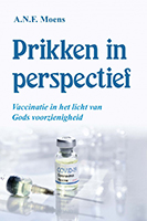 Prikken in perspectief